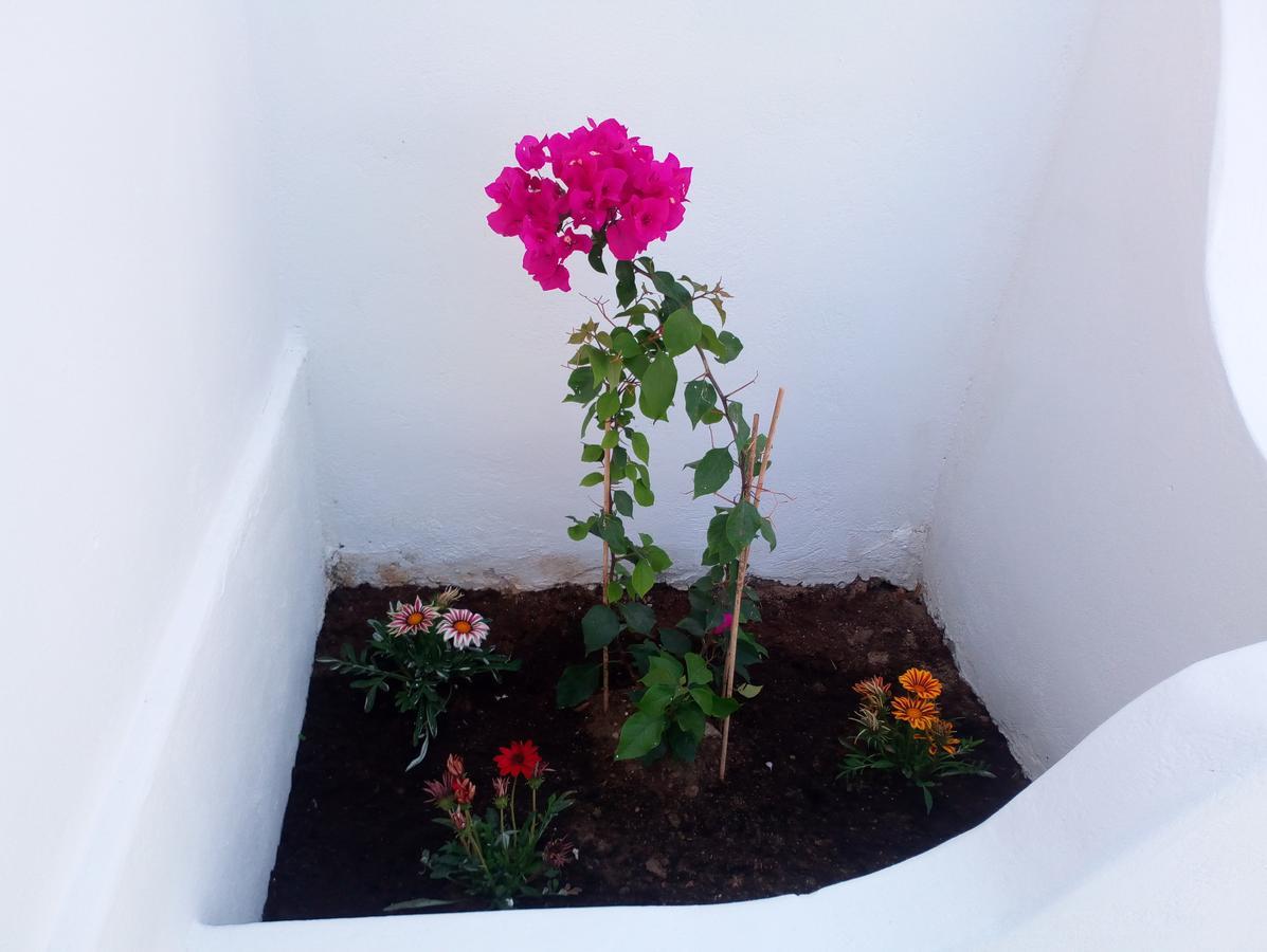 Thea Serifos Livadakia Exterior foto